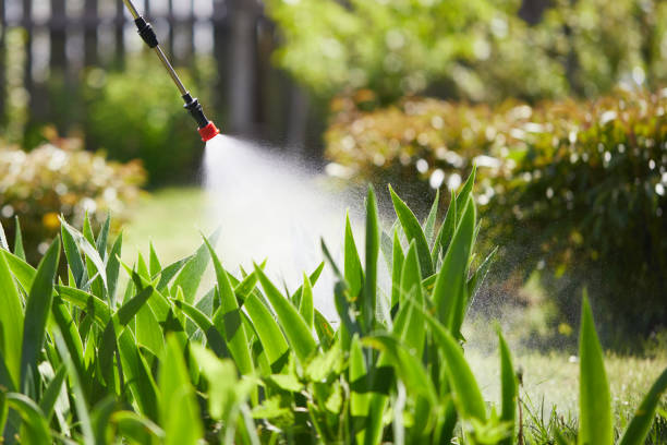 24/7 Emergency Termite Control experts in Catawba, SC