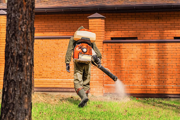 Trusted Termite Control service in Catawba, SC - Nex Pest Control